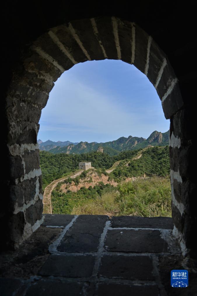 卡奇娱乐